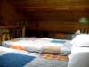 Cabin 5 Sleepy Dog Cabins