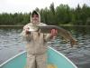Big-Pike