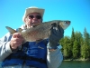 Whitefish