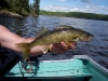 Best eating fish in Canada