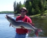 Huge Muskie Catch & Release