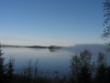 Morning fog