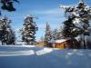 Xmas-Card2010-013