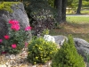 Sleepy Dog gardens